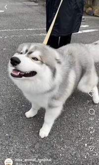 すっかり病院好きの甘えん坊になりました