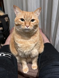 マッチョなぼくはいかがでしたか？（提供写真）