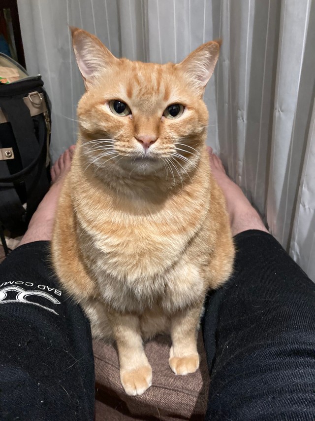 マッチョなぼくはいかがでしたか？（提供写真）