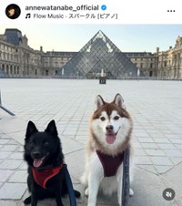 杏インスタグラム(@annewatanabe_official)より