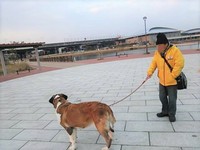 ミントちゃんが保護された公園まで遠征。ミントちゃん、覚えてる？