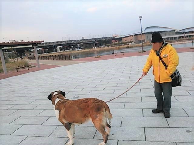 ミントちゃんが保護された公園まで遠征。ミントちゃん、覚えてる？