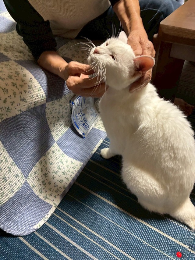 幸せのお顔／提供：yukaさん