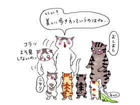 育児疲れもなんのその！覚醒した姉に育てられた子猫たち　面倒見のいい姉弟猫に成長