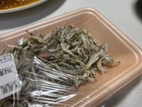 （猫ひさしさん提供）