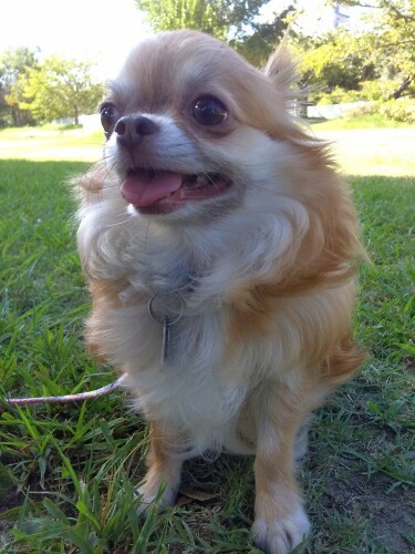 好奇心旺盛なキラキラした瞳がチャームポイント（せんきちさん提供）