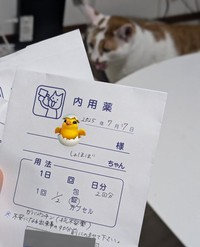爪切りや病院が苦手なしょぼぼくんに処方されたお薬。服用のタイミングを読むと…（画像提供：もんちこさん）
