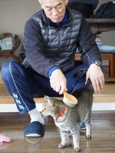 毎日、ブラシをかけてもらうお陰で