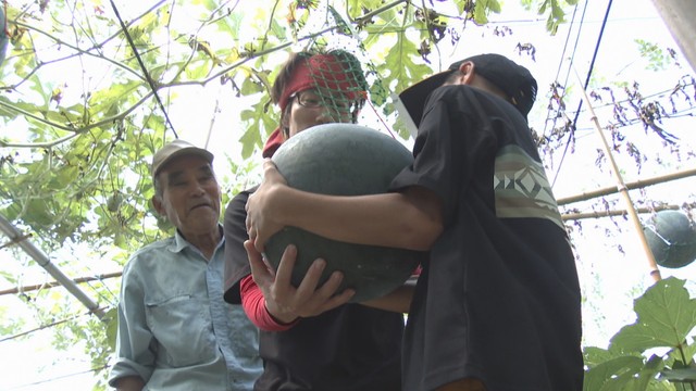 清水八勝さんの農園　岡山・南区　23日