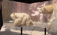 カミカミ合戦