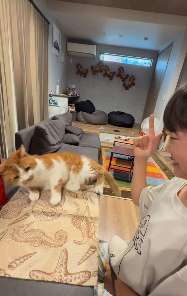 やられた風のダンゴくん…仕方がなくやってる？（「W＊S」さん提供、Instagramよりキャプチャ撮影）