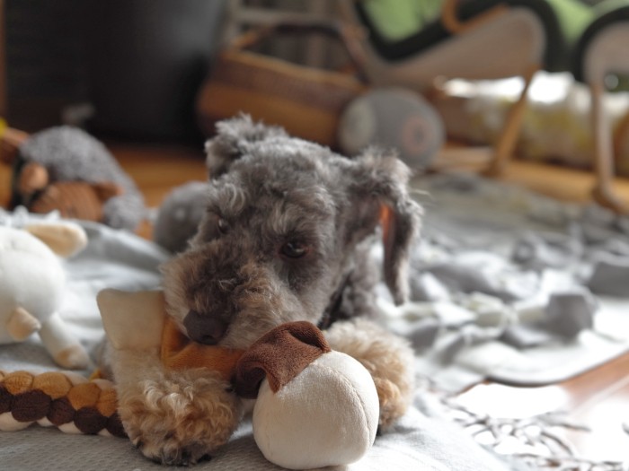 「ほんとに眠くなっちゃったな」