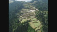 まんのう町の「島ヶ峰の段畑」（香川県提供）