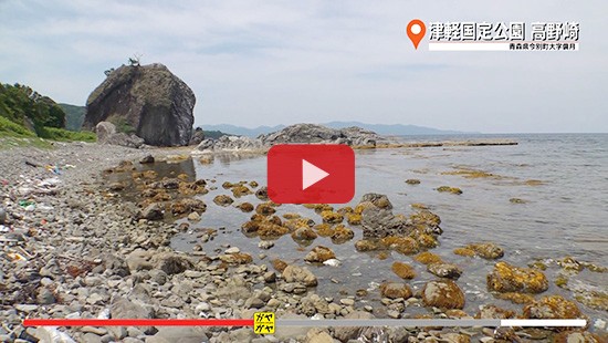 #345津軽国定公園 高野崎②