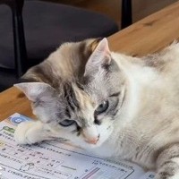 夏休みの宿題が捗りませんでした…（「soranohi」さん提供、Instagramよりキャプチャ撮影）※画像はトリミングしています
