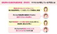 具体的な不安要素（提供画像）