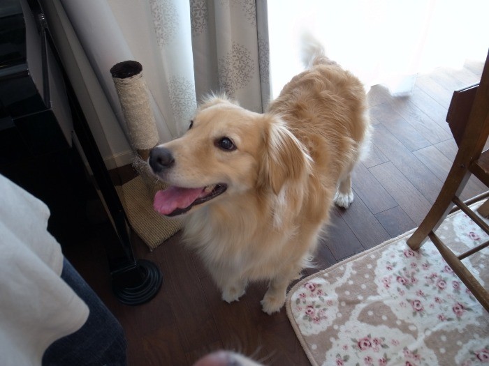 お母さん、大好きだよ