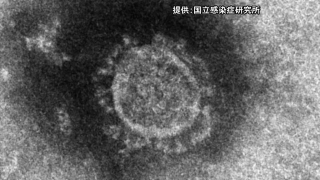 〈新型コロナ〉岡山市と倉敷市で7人が感染　いずれも軽症または無症状