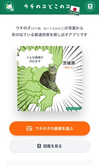 猫だらけ日本地図をきっかけに制作されたアプリ