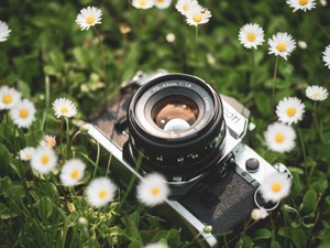 数ある写真。父自身が写っているものは少ないけど、全てに父の気配がする