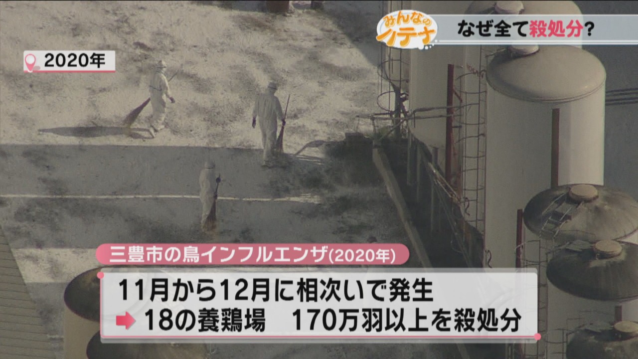 鳥 インフルエンザ なぜ 殺 処分