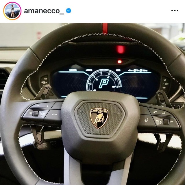 あま猫（@amanecco_）さんのインスタグラムより