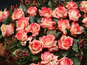 30歳くらい歳が離れているけれど私の憧れ。愛のある女性になりたい