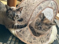 一緒に入りいたいね＝mari_go_424さん提供
