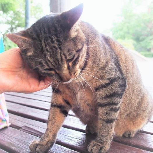 食後、しばし甘えて過ごす。
