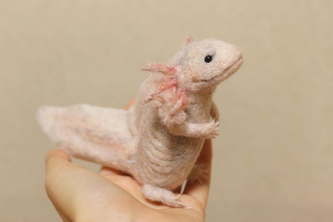 羊毛フェルトキャラクター 作り方 | TikTok 【ウーパールーパー】【no