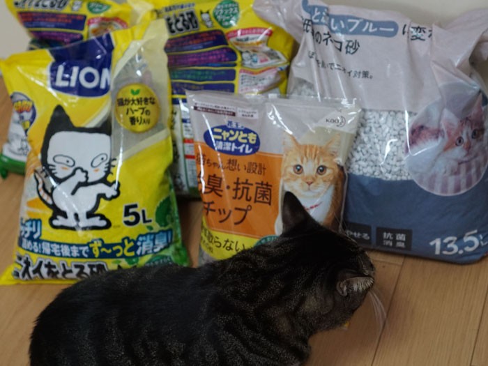 砂のストックは防災用に多め。「僕、いろいろ試してみたいな～」