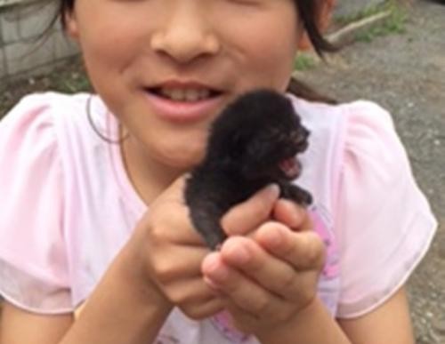 小学４年生のニイノちゃんと、保護時のミー吉（ニイノちゃん写真）