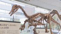 「恐竜から鳥への進化の道をたどる」岡山理大生が企画した恐竜展