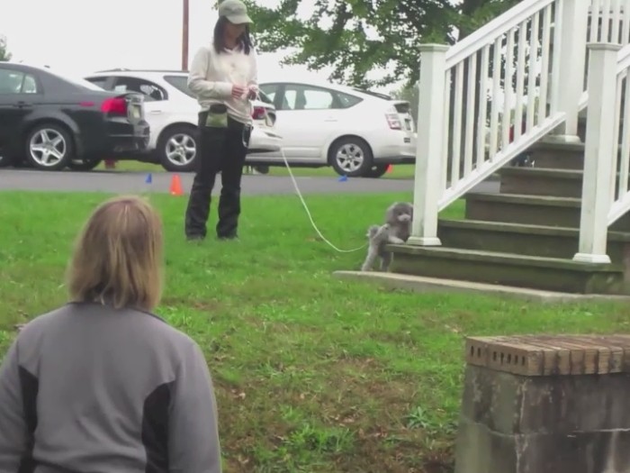 競技はにおいを隠す場所によって4種類に分かれる