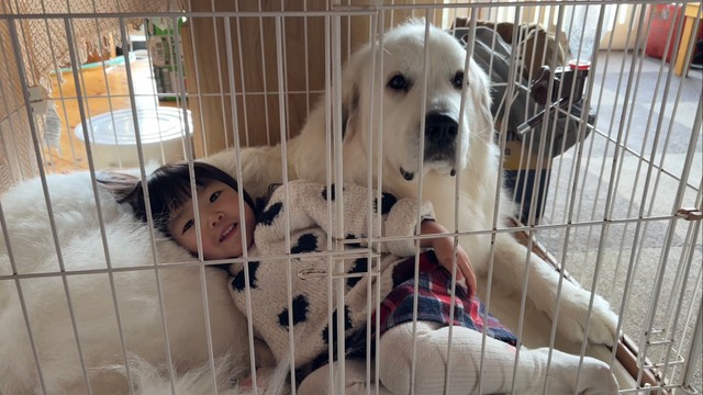 ケージで一緒にいる様子（提供：山の奥からさん）