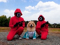 イカゲーム！？