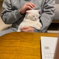 中に小さいオッサンが入っているのかも・・・＝月としらたまさん（@wataneko_tsuki）提供