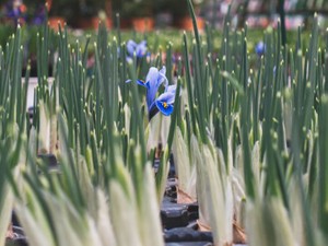 私はメイクをしない。でもその選択に、男・女は関係ない