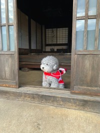 玄関を開けたらお出迎えしてくれるらしい＝レノン&れあるさん（@Renon_Rearu）提供