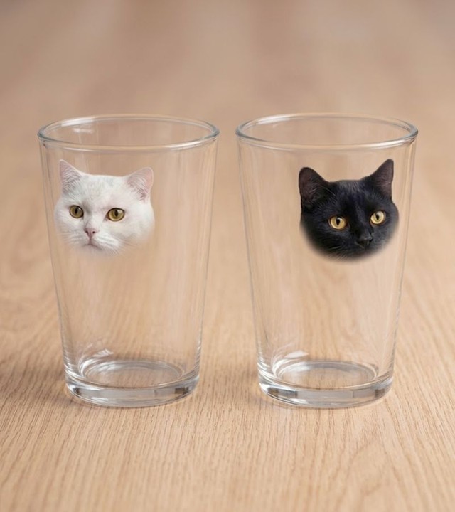 猫の顔部分がプリントされたグラス ※いしかわかずやさん提供