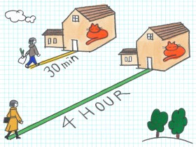 飼い主が出かけるとさみしいと感じてる？　留守番中のネコの行動を調査