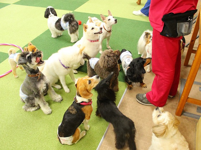 仲間やスタッフの触れ合いも大事