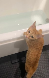 お風呂にだって付いてきます（提供）