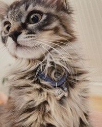 超絶に可愛いあめちゃん