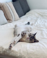 思いっきりくつろぎモード