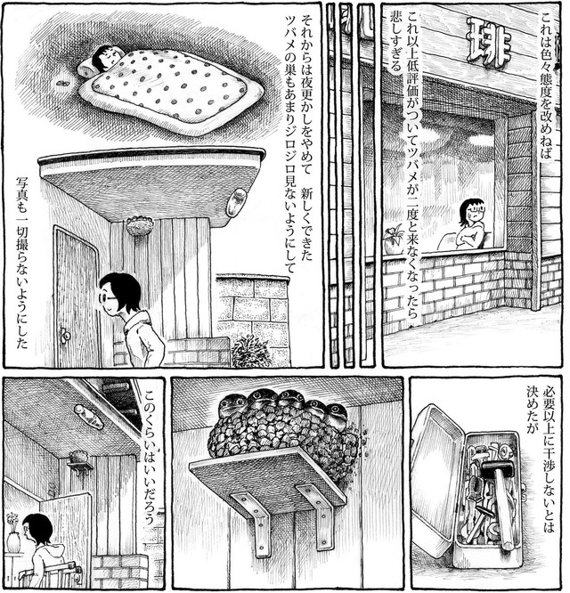 新たなツバメの巣が作られたため、迷惑に思われないように徹底する主人公　(C)nerunodairuki