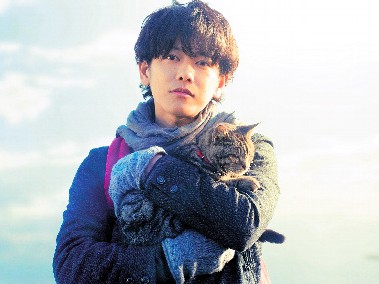 あふれる猫愛　映画「世界から猫が消えたなら」に猫好きが共鳴