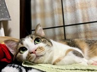 明日もいいことあるかな＝mozuku_1020さん提供