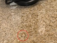 指輪はここにありました（画像を一部拡大／提供：ぶんたんさん）