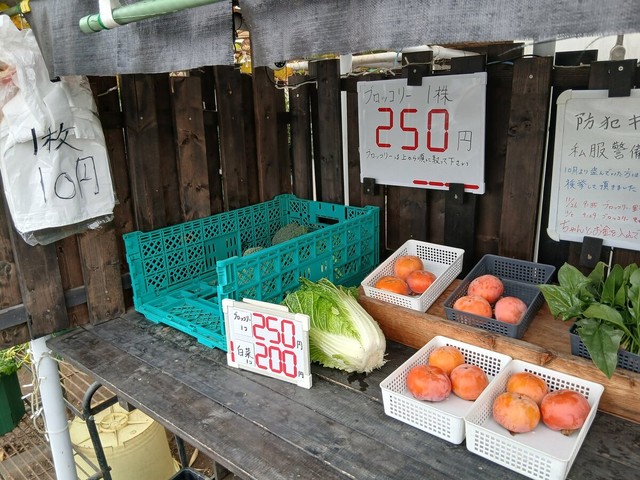 収穫した野菜や果物は無人販売している／旅人さん（@tanemaki_ojisan）提供